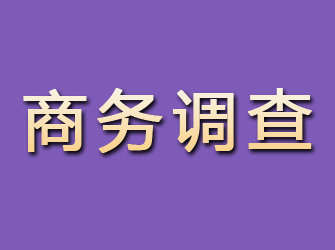 新城区商务调查